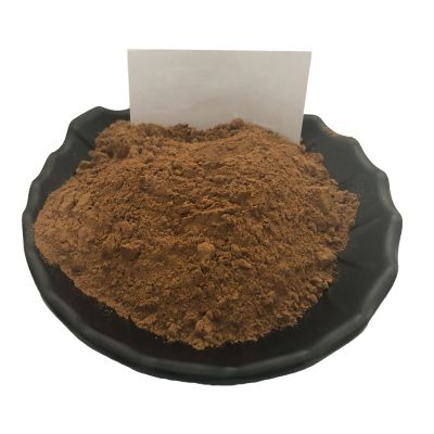 Red Ganoderma Lucidum Reishi Mushroom Spore Extract Powder