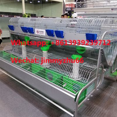 2Tiers 24Cells Industrial Poultry Cage Automatic Rabbit Breeder Cage For Commercial Farming