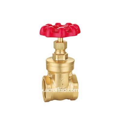 brass gate valve ABV301005