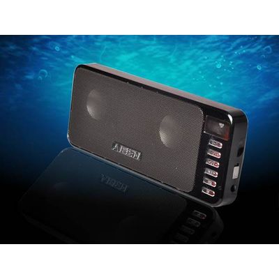 Ps-3 Wireless speaker,portable speaker with AUX IN ,connect with computer,mp3 and so on