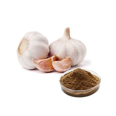 White Garlic Seeds P.E. Extract Garlic Price in China