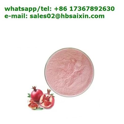 Pomegranate Fruit Powder,Fruit Juice Powder 100% Natural