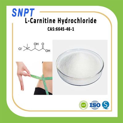 Hot Sale Weight Loss Health Product L-Carnitine HCl, 99% Powder CAS 6645-46-1 with Wholesale