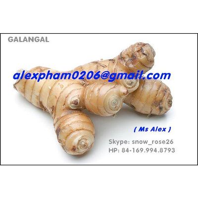 FROZEN GALANGAL/ DRY GALANGAL SLICES/ GALANGAL POWDER/ ZEODARY in SKYPE snow_rose26