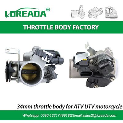 LOREADA Original Motorcycle Throttle body for Motorcycle 125 150CC with Delphi IAC 26179 and TPS
