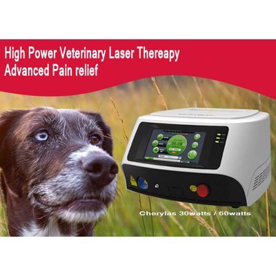 Diode Laser Therapy Machine For Dogs / Canines , GaAlAs Diode Laser Treatment Device