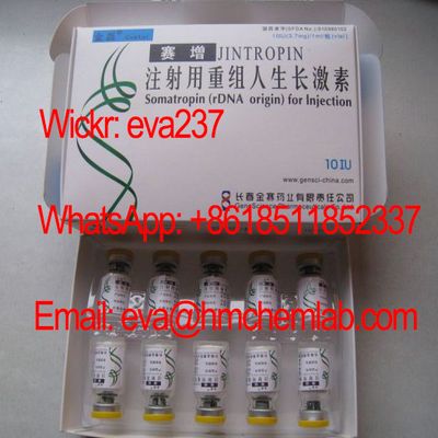 fat loss get taller Jintropin price 100iu HGH human growth hormone for sale Wickr eva237