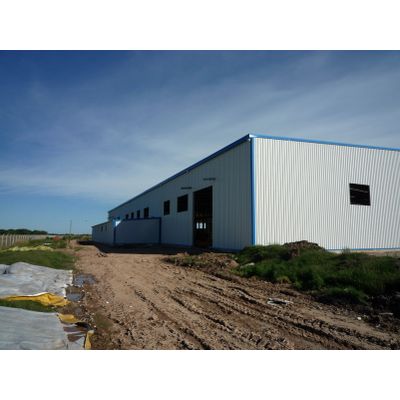 New Arrival Prefabricated Arch Designed Special Shaped Steel Structure Factory Building (KXD-SSB111)