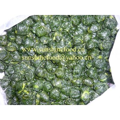 iqf spinach, best price