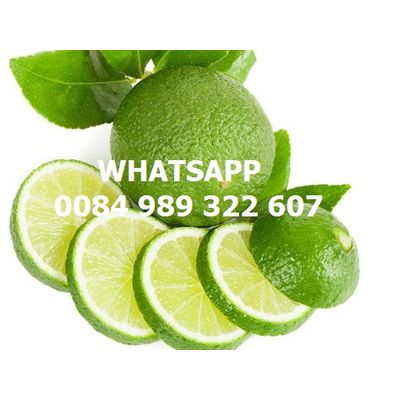 Vietnam seedless fresh lemon / fresh lime - Wholesale for lemon extract / lime essential oil