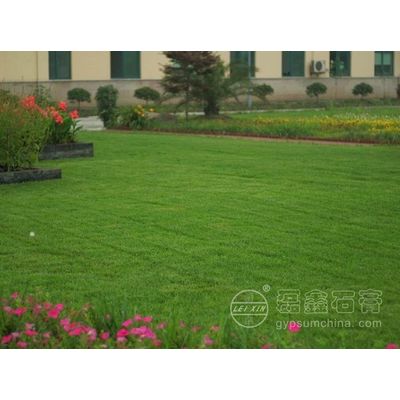Soil Lawn Garden Gypsum (Calcium Sulfate) Fertilizer