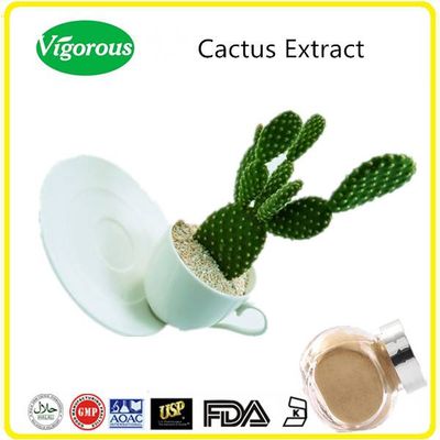 ISO manufacturer 20:1 pure natural cactus extract
