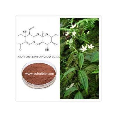 Swertia chirata, Swertia chirata Extracts,Pure natural Swertia chirayita extract for sale