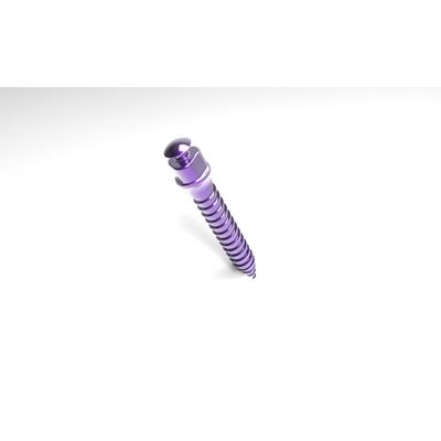 10 years manufacture orthodontic niti mini screw 1.4mm/1.6mm/2.0mm for good quality