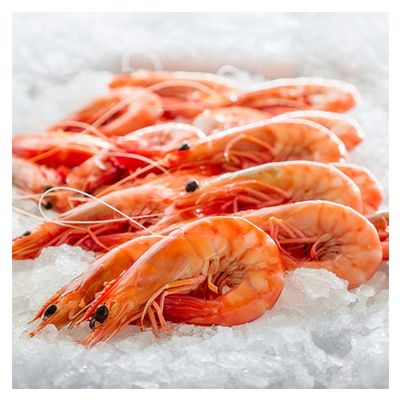 Cooked HOSO Vannamei Shrimp with High Quality, Competitive Price and On-Time Delivery (Wehapi.vn)
