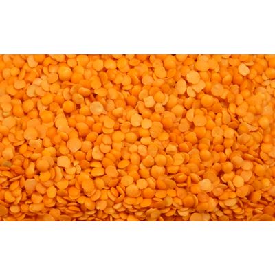 RED LENTILS - Nuragro FZE