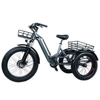 Electric tricycle 24inch Fat Tire Adult 3Wheel 48V1000W