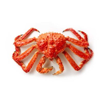Whole Sale Red King Crabs for sale