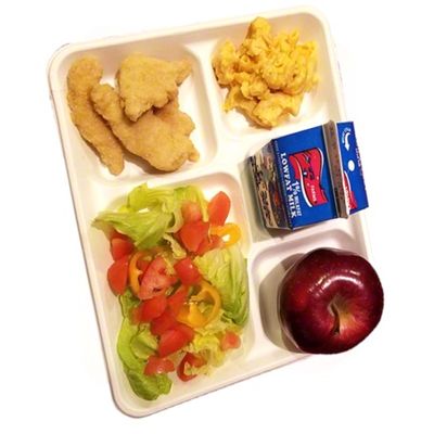 Disposable 5 Compartment Foam Food Plates for Lunch Meal Serving