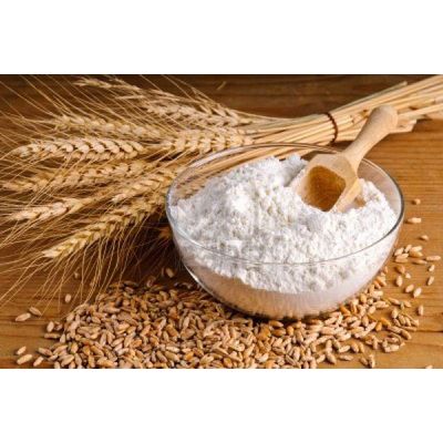 high protein Food Grade vital Wheat Gluten free flour,fish meal ,wheat grain