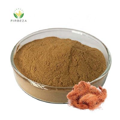 Wholesale 100% Pure Organic 10:1 Corn Silk Extract Powder