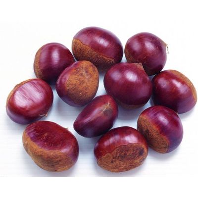 Top grade fresh chestnut