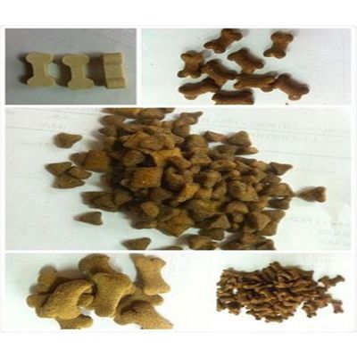 small scale pet food processing line