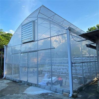 Plastic Film Covered Tropical Top Cross Vent Agricultural Sawtooth Greenhouse