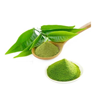 High quality Matcha Green Tea extract