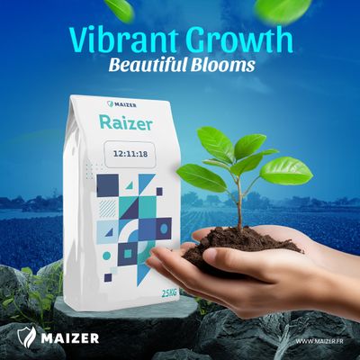 Maizer RAIZER NPK 12-11-18 Fertiliziers