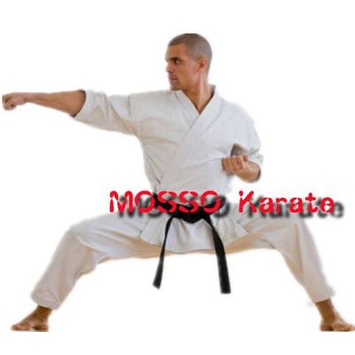 Free Shipping MOSSO Karate uniform  dobok