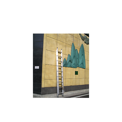 Ladder