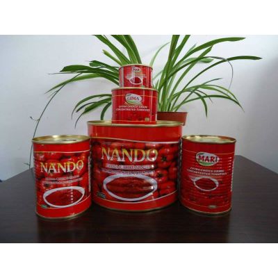 Canned Tomeato paste
