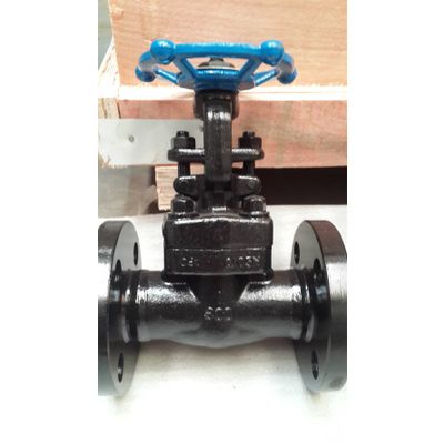 Forged steel flanged ends gate valve