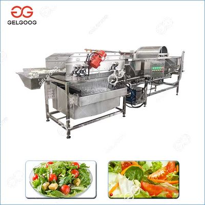 Customized Salad Vegetable Washing Machine For Vegetable Factory
