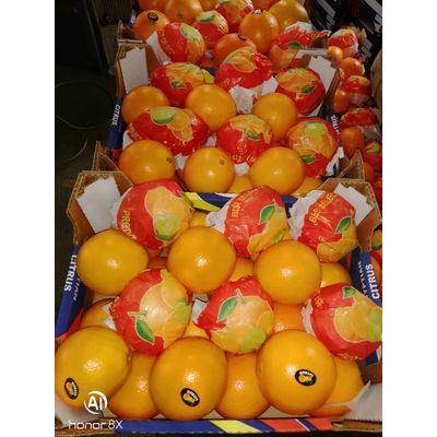 Citrus, orange, pomegranate, lemon, potatoes, frozen tomatoes and all