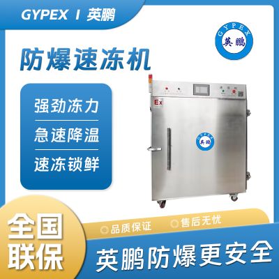 Guangzhou Yingpeng BL-200EX/SD manufacturer direct selling quick freezer