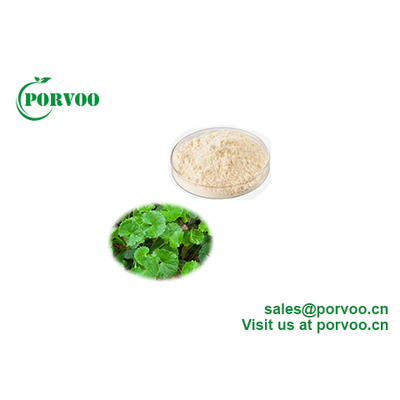 Factory Supply Organic Asiaticoside Gotu Kola Extract Powder Centella Asiatica Extract Herb Extract