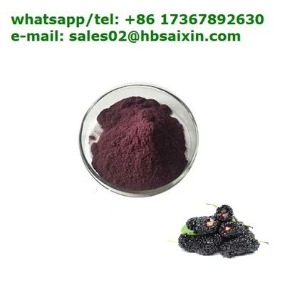 China Manufacture Manufacturer Supply Freeze Organic Dried Mulberry Powder