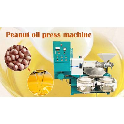 New screw type peanut oil press machine | groundnut oil making process | peanut oil extraction