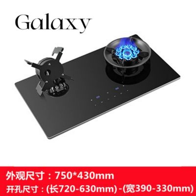 Smart touch timing 2 Burner Gas Cooker for Electric Gas Stove with Tempered Glass 8002-S11