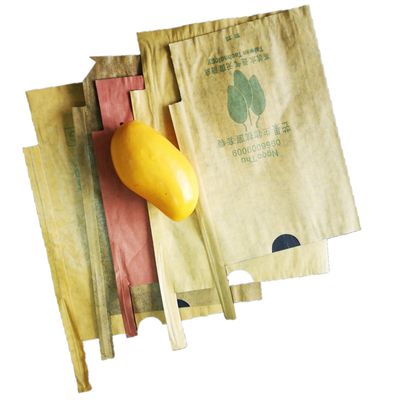 Insect Preventing Fruit Cover Bag Mango Protection Paper Fruit Bags