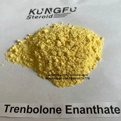 Trenbolone Enanthate CAS 10161-33-8 Steroids Powder Tren E Hormone