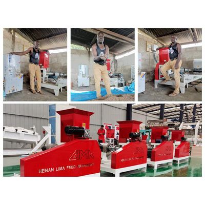 Floating fish feed pellet machine exported in Ghana