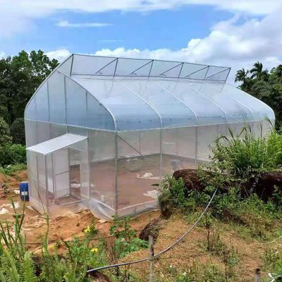Hot Galvanized Steel Pipe Plastic Film Covered Greenhouse Agricultural Sawtooth Greenhouse