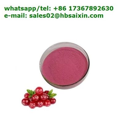 China Manufacture Proanthocyanidin Cranberry Fruit Extract Powder