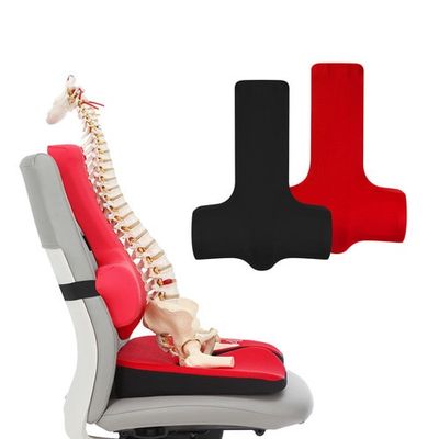 Ergonomic Chiropractic Back Support Cushion for Office Chair