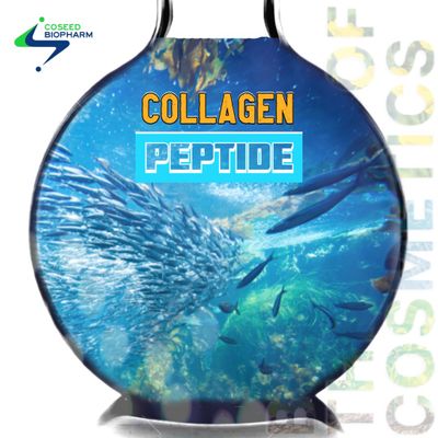 Collagen Peptide 300 Cosmetic Ingredient Skin elasticity