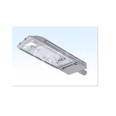 highbay induction lamps