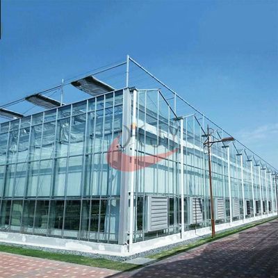 Commercial Agricultural Glass Greenhouse for Flower and Vegetables